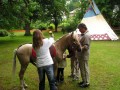 V některých bambiriádních areálech si zájemci mohou vyzkoušet i jízdu na koni (Jaroměř, 2006).